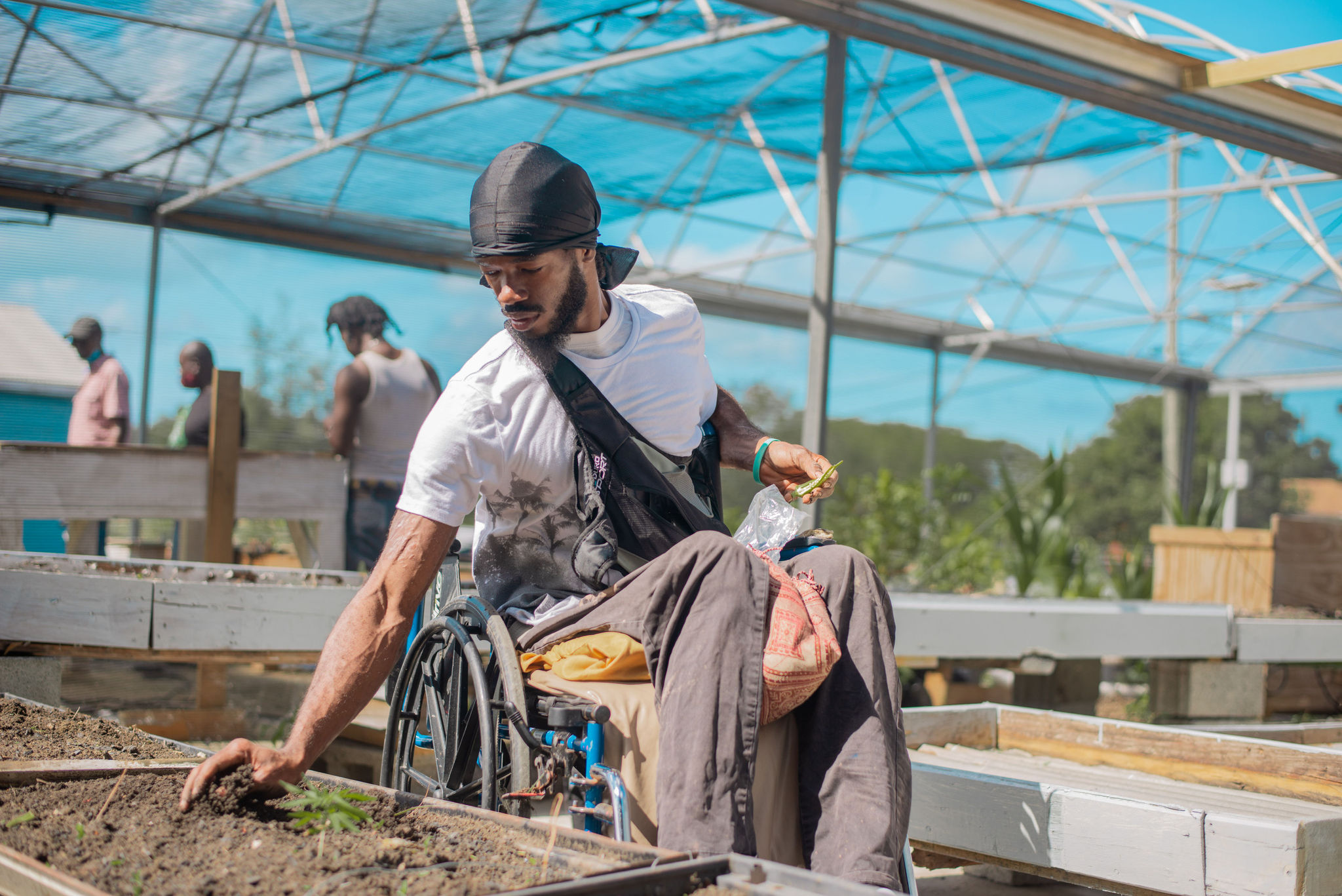 nature disability does not have to restrict freedom